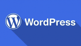 Instalao de script em Wordpress