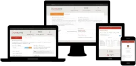 Gest�o De Funcion�rios E Ponto Online